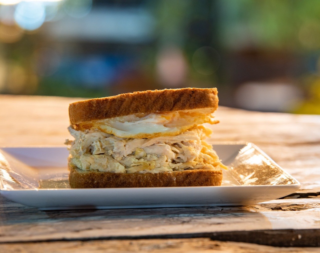 sandwich